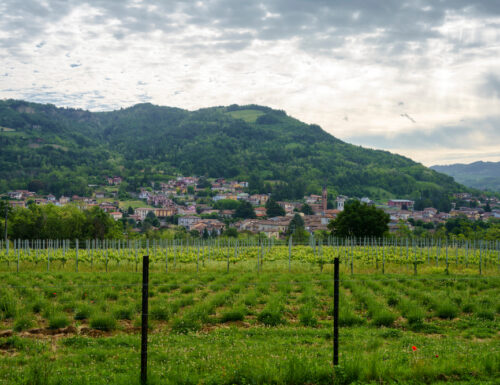 Cose da fare e da vedere a Godiasco