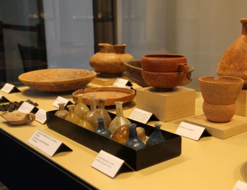 Museo Archeologico Nazionale di Vigevano, custode dell'antico tesoro della Lomellina