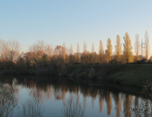 Parco della Vernavola, il luogo preferito dai pavesi per il relax