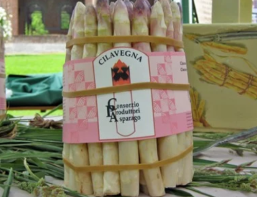 A Cilavegna la Sagra dell'asparago, tra risotti, frittate e la curiosità dell'amaro