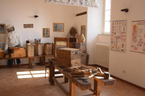 Museo delle Api, a Montalto Pavese un tuffo nel passato per scoprire gli antichi segreti dell’apicoltura