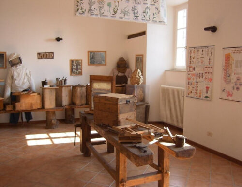 Museo delle Api, a Montalto Pavese un tuffo nel passato per scoprire gli antichi segreti dell’apicoltura