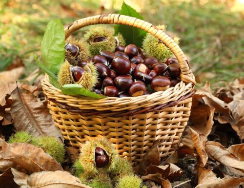 Sagra della Castagna e Pane Casereccio a Brallo di Pregola