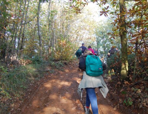 Scopri la bellezza autunnale delle colline di Nazzano con il trekking naturalistico