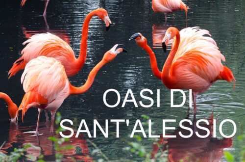 Sant’Alessio con Vialone, perla verde della provincia di Pavia