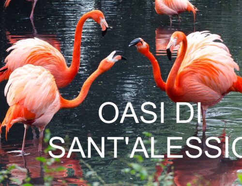 Sant’Alessio con Vialone, perla verde della provincia di Pavia