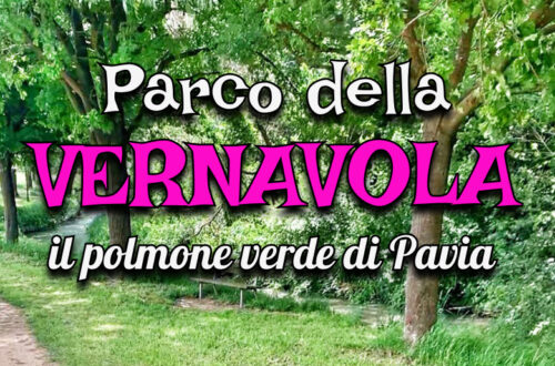 Il Parco della Vernavola di Pavia: il polmone verde visto dai social