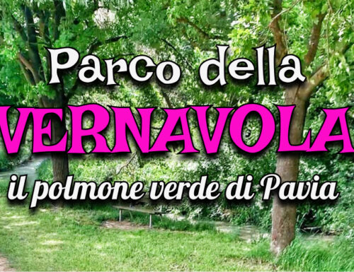 Il Parco della Vernavola di Pavia: il polmone verde visto dai social