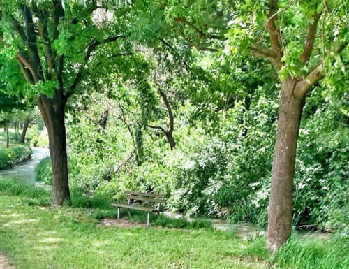 Le "Camminate nella Biodiversità" del FAI Giovani Pavia