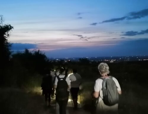 Una notte nel bosco di Gomo, trekking sotto le stelle 