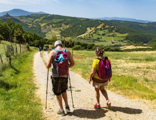 Il trekking dei vigneti