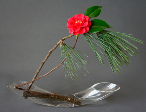 Alla Scoperta dell'Arte dell'Ikebana: Incontro e Dimostrazione a Vigevano