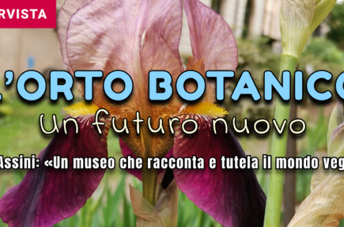 L'Orto Botanico di Pavia, tra storia e futuro con la guida di Silvia Assini: «Siamo un museo, nato per scoprire (e tutelare) il mondo vegetale»