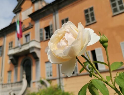 All'Orto Botanico un doppio appuntamento tra storia e scoperta vegetale