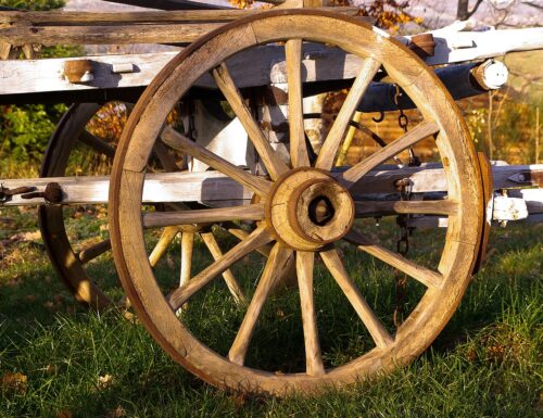 Fiera dell'agricoltura e della tradizione contadina a Pietra De' Giorgi