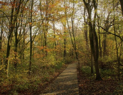 Trekking nel foliage autunnale sulle colline di Nazzano