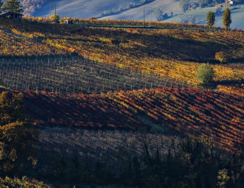 Oltrepò Pavese, dove il Vino diventa Arte