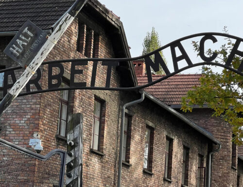 La liberazione di Auschwitz e le storie di deportati vogheresi