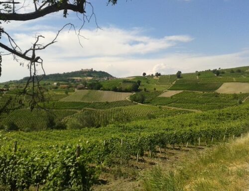 A Montalto Pavese la cultura incontra il vino: al via "Cantine d'Autore"