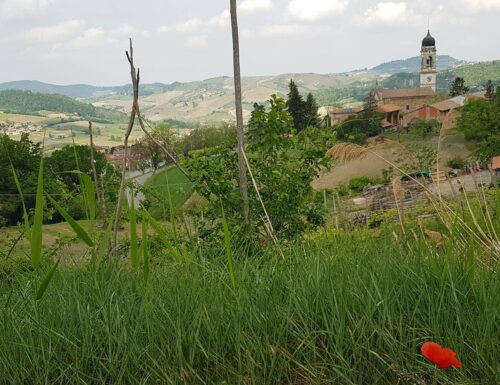 Sui sentieri della Costa Pelata: un'avventura tra vigne e calanchi