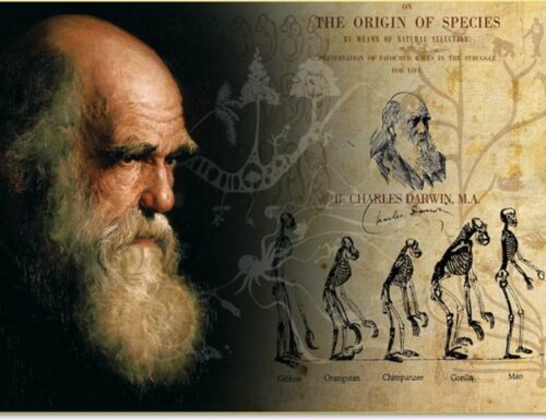 Darwin Day al Museo Kosmos di Pavia: un viaggio nel mondo dell'evoluzione