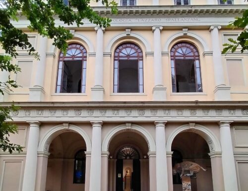Al Museo Kosmos la mostra “I colori del buio: esplorando il pianeta sotterraneo”