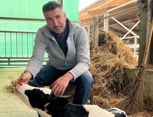 Musica Classica e Comfort a 5 Stelle: la Stalla da Sogno di Ceranova