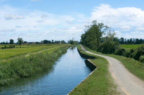Riscoprire la lentezza: in bici lungo il Naviglio di Bereguardo