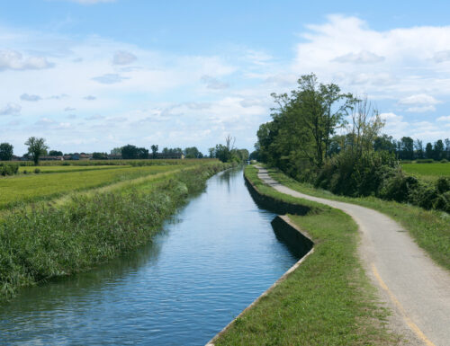 Riscoprire la lentezza: in bici lungo il Naviglio di Bereguardo