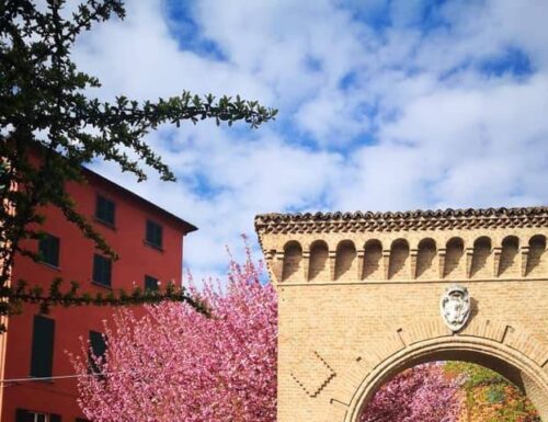 Alla scoperta delle Ville Storiche tra Montebello e Torrazza Coste