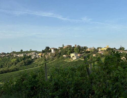 Trekking enogastronomico tra vigne e castelli
