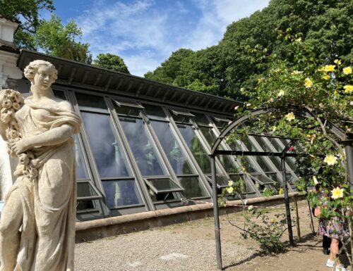 L'Orto Botanico di Pavia rinasce e riapre le sue porte