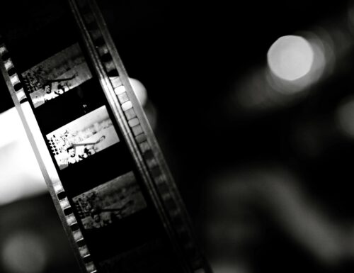Torna a Pavia Cinema sotto le Stelle con 33 film e 87 posti in più