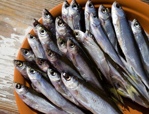 14ma edizione della Sagra dell'Alborella, gusto e tradizioni lomelline