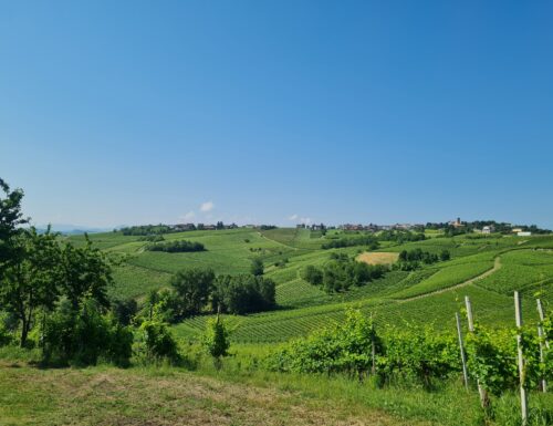 Bosnasco in Festa 2025: tre serate di musica e gastronomia